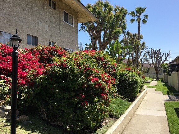 Mountain Crest Apartments Upland Ca Mountain Crest Apartments Upland Ca