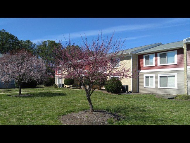 Bedroom Apartments In Chesterfield Va Bedroom Apartments In Chesterfield Va