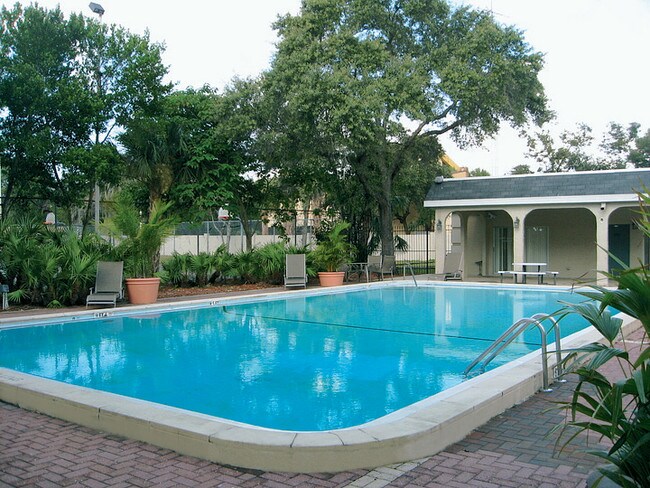 Regency Square Apartments Tampa Fl Regency Square Apartments Tampa Fl
