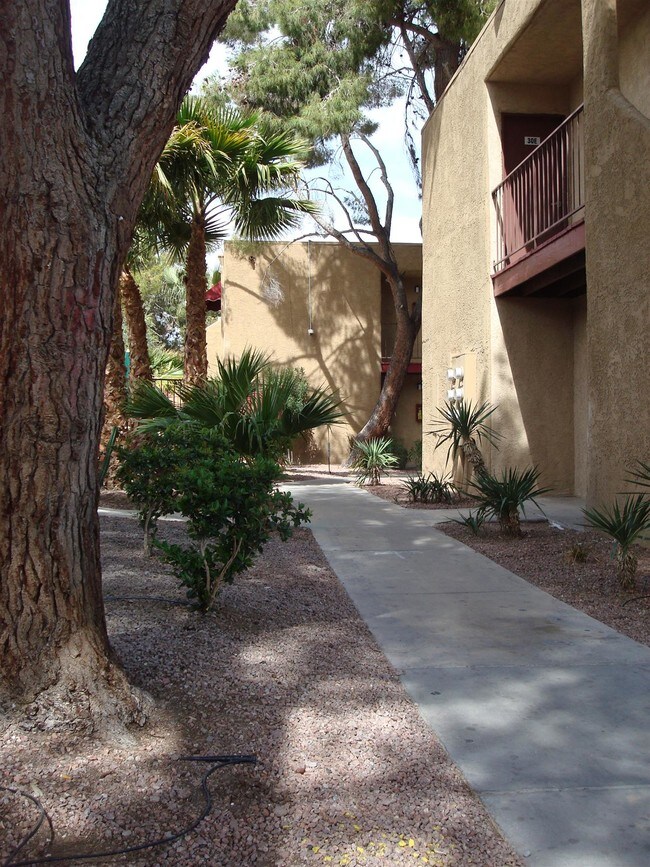 Desert Rose Las Vegas, NV Apartment Finder